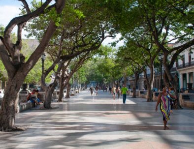 Boulevard on Paseo del Prado is one of the most representative avenues of Old Havana. Havana Cuba May 11,